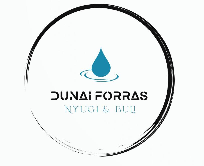 DunaegyhazaForras Vendeghaz别墅 外观 照片